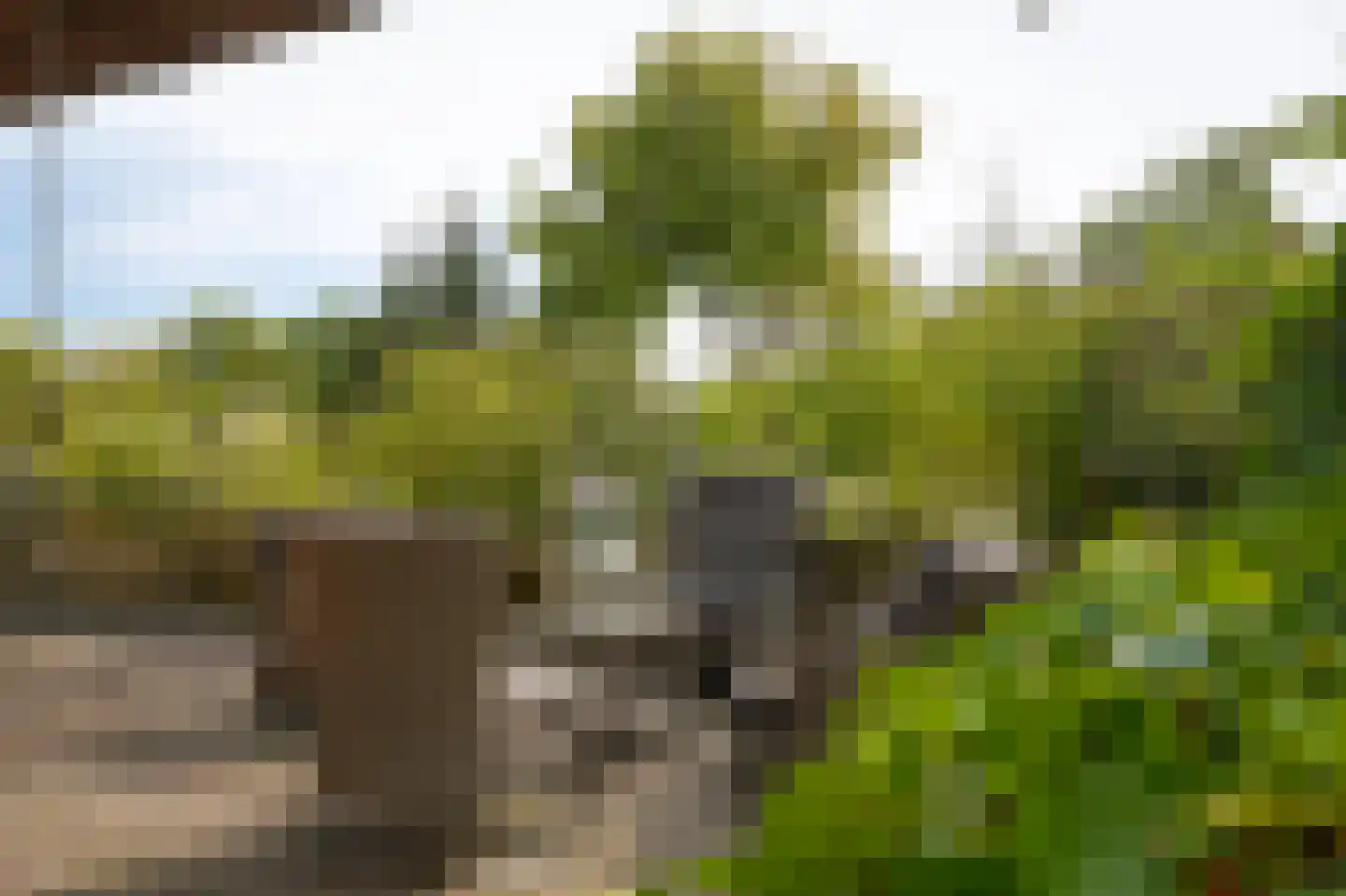 Eerste Stegge 1 Ootmarsum thumbnail 73