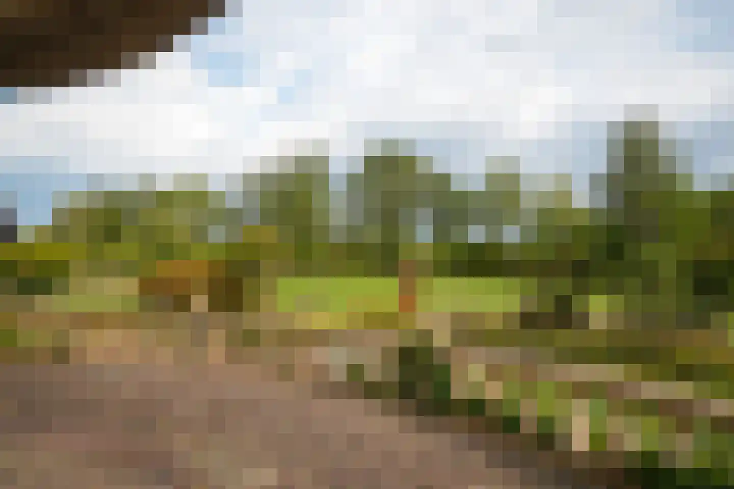 Eerste Stegge 1 Ootmarsum thumbnail 74