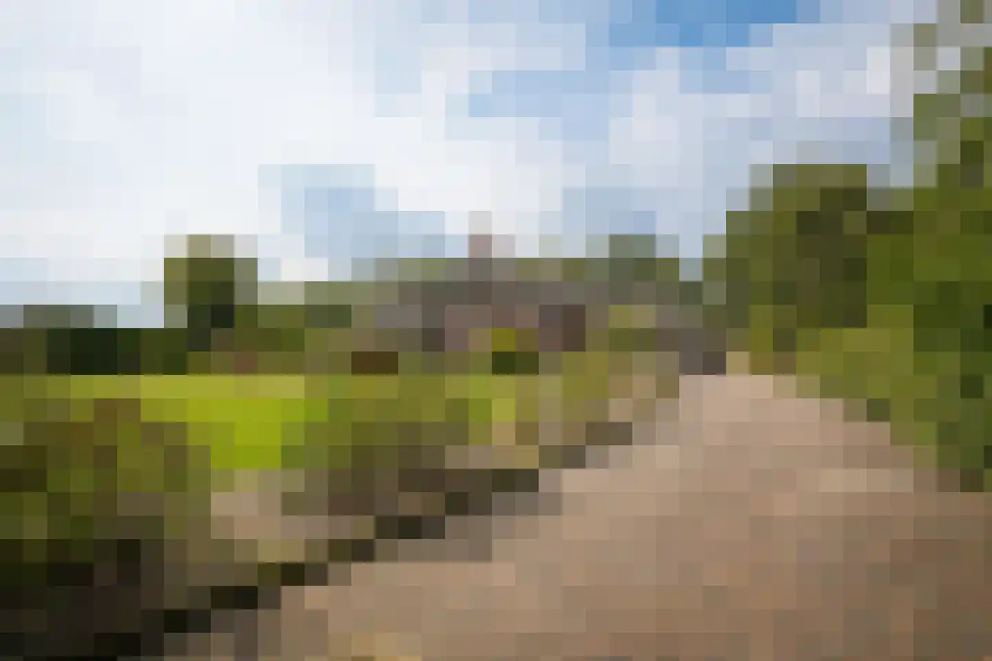 Eerste Stegge 1 Ootmarsum thumbnail 79