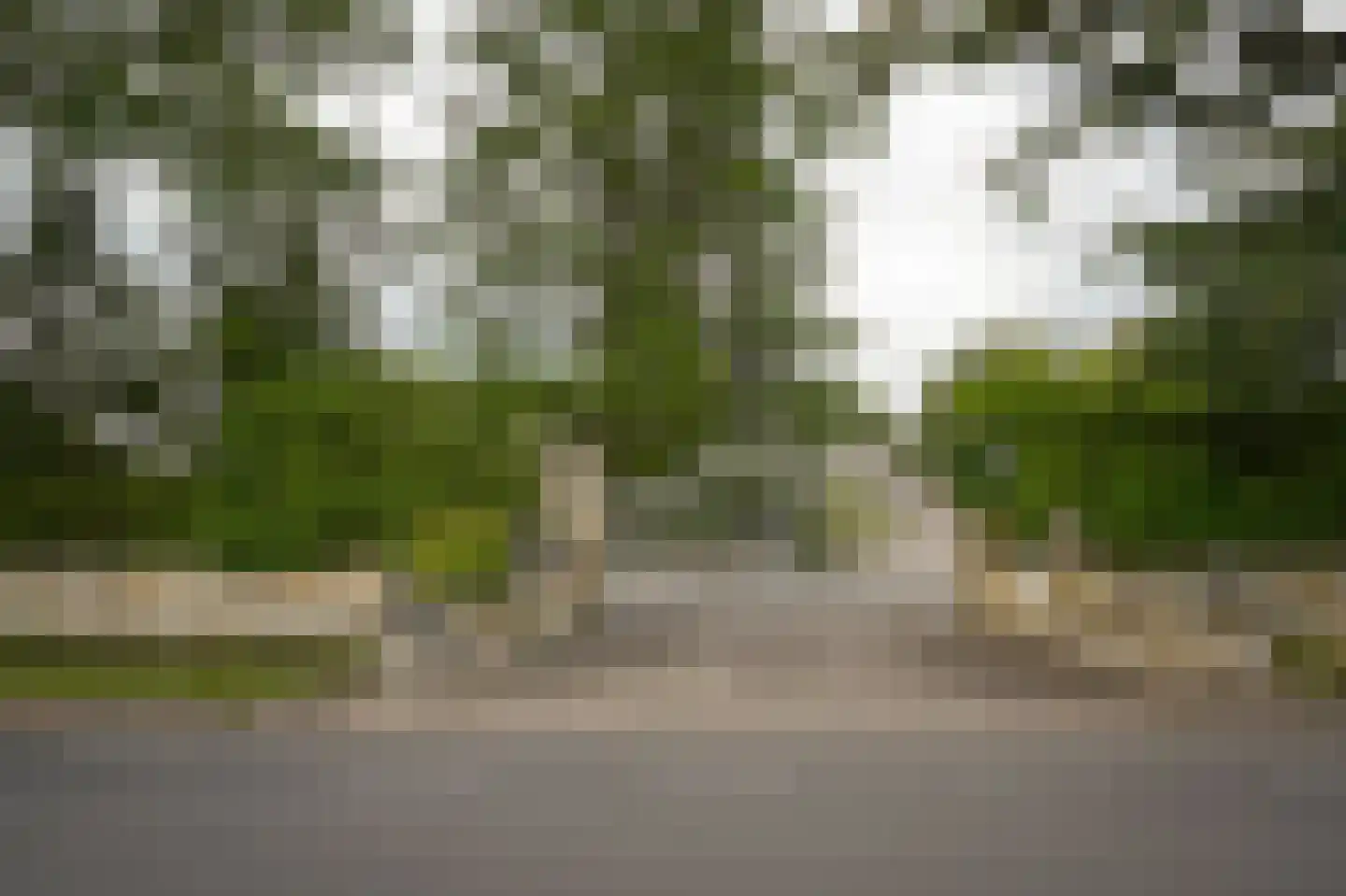 Eerste Stegge 1 Ootmarsum thumbnail 81