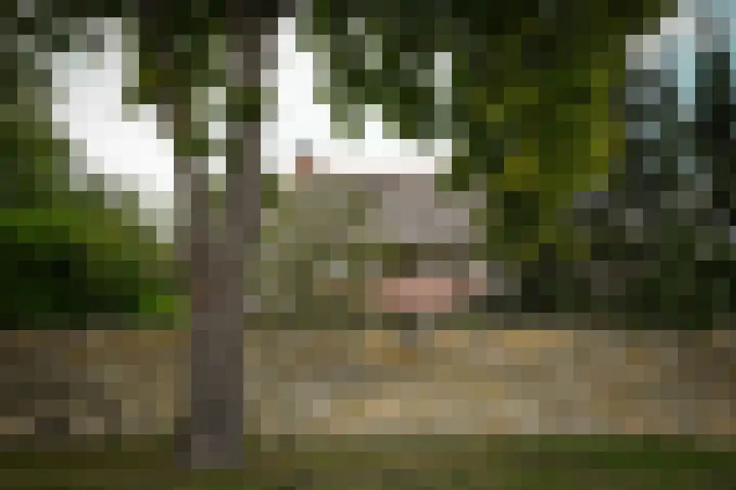 Eerste Stegge 1 Ootmarsum thumbnail 82