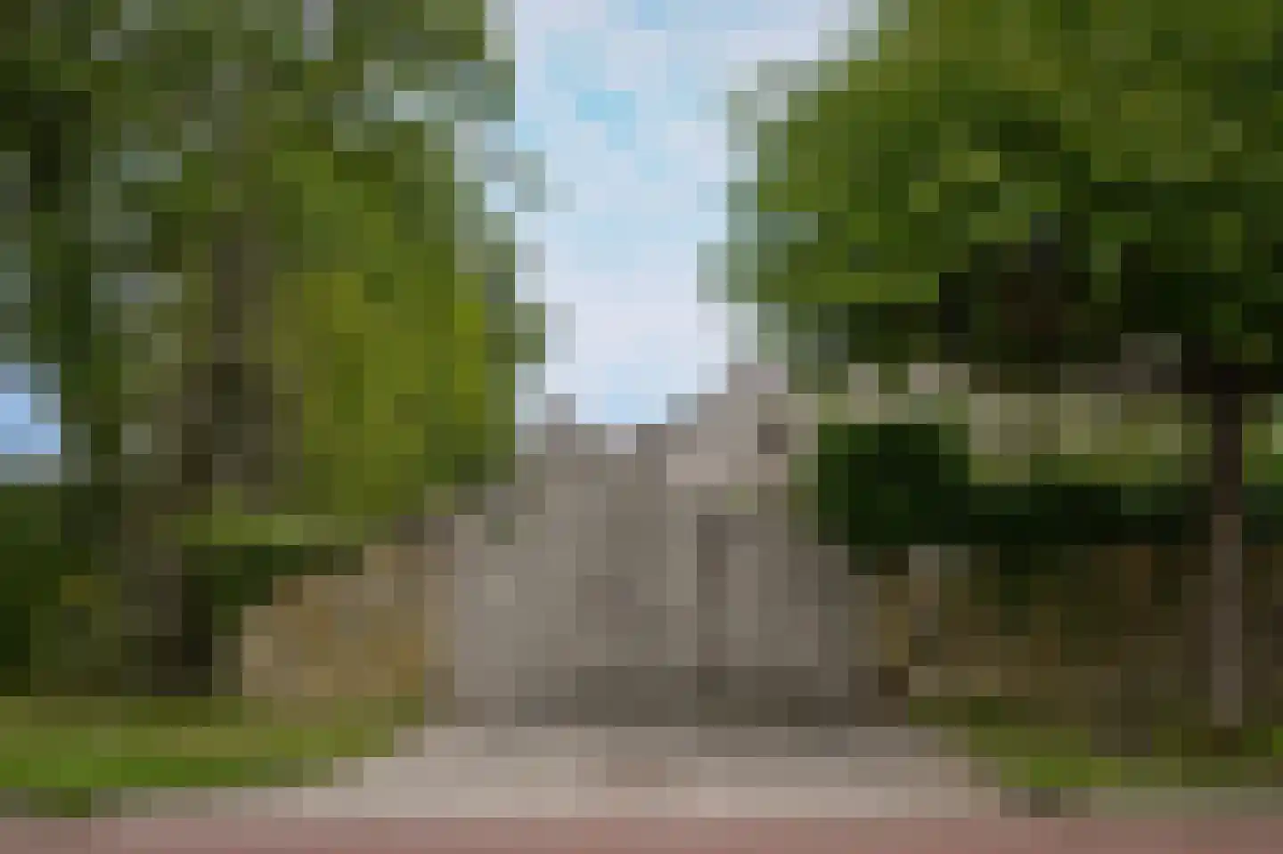 Eerste Stegge 1 Ootmarsum thumbnail 84