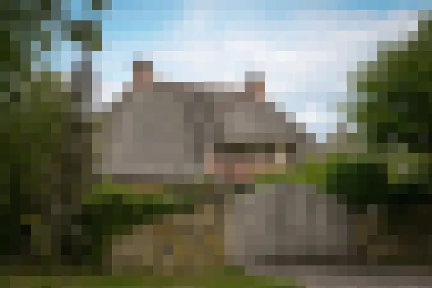 Eerste Stegge 1 Ootmarsum thumbnail 85