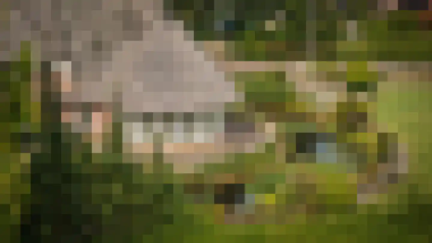 Eerste Stegge 1 Ootmarsum thumbnail 86