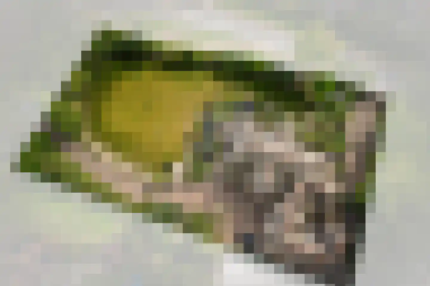Eerste Stegge 1 Ootmarsum thumbnail 87