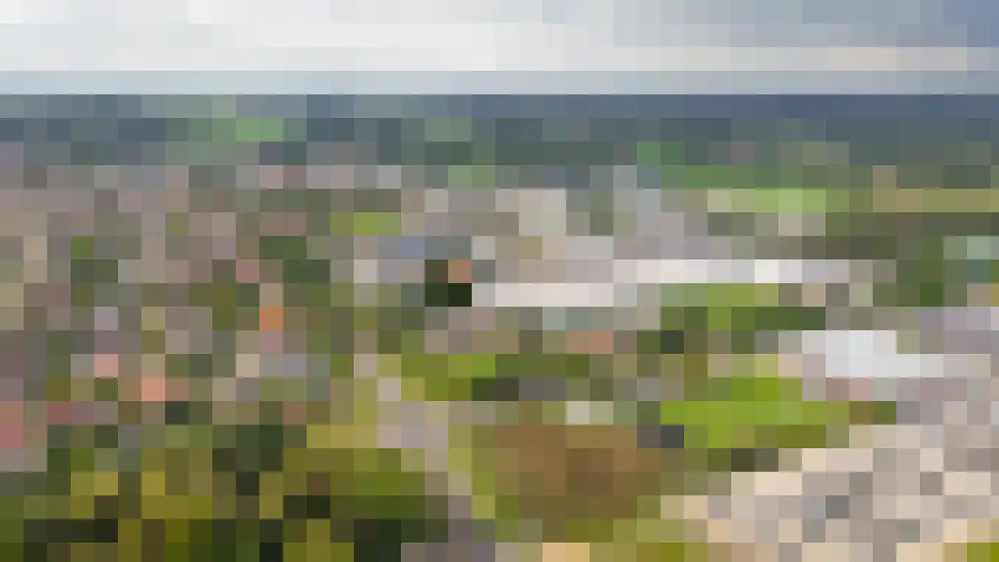 Eerste Stegge 1 Ootmarsum thumbnail 89