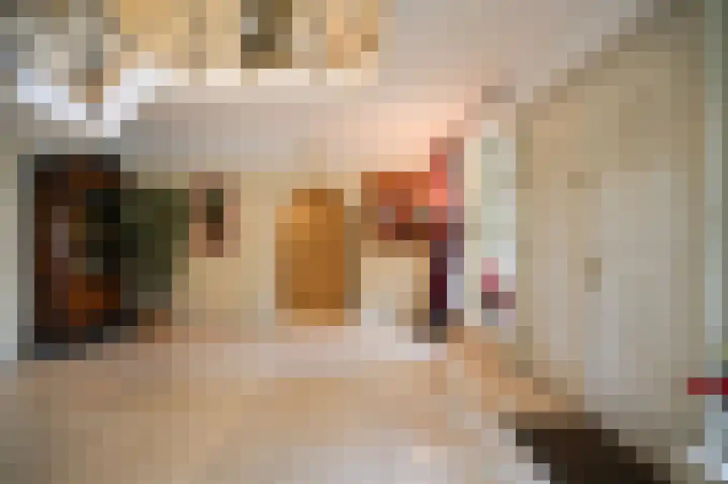 Eerste Stegge 1 Ootmarsum thumbnail 9
