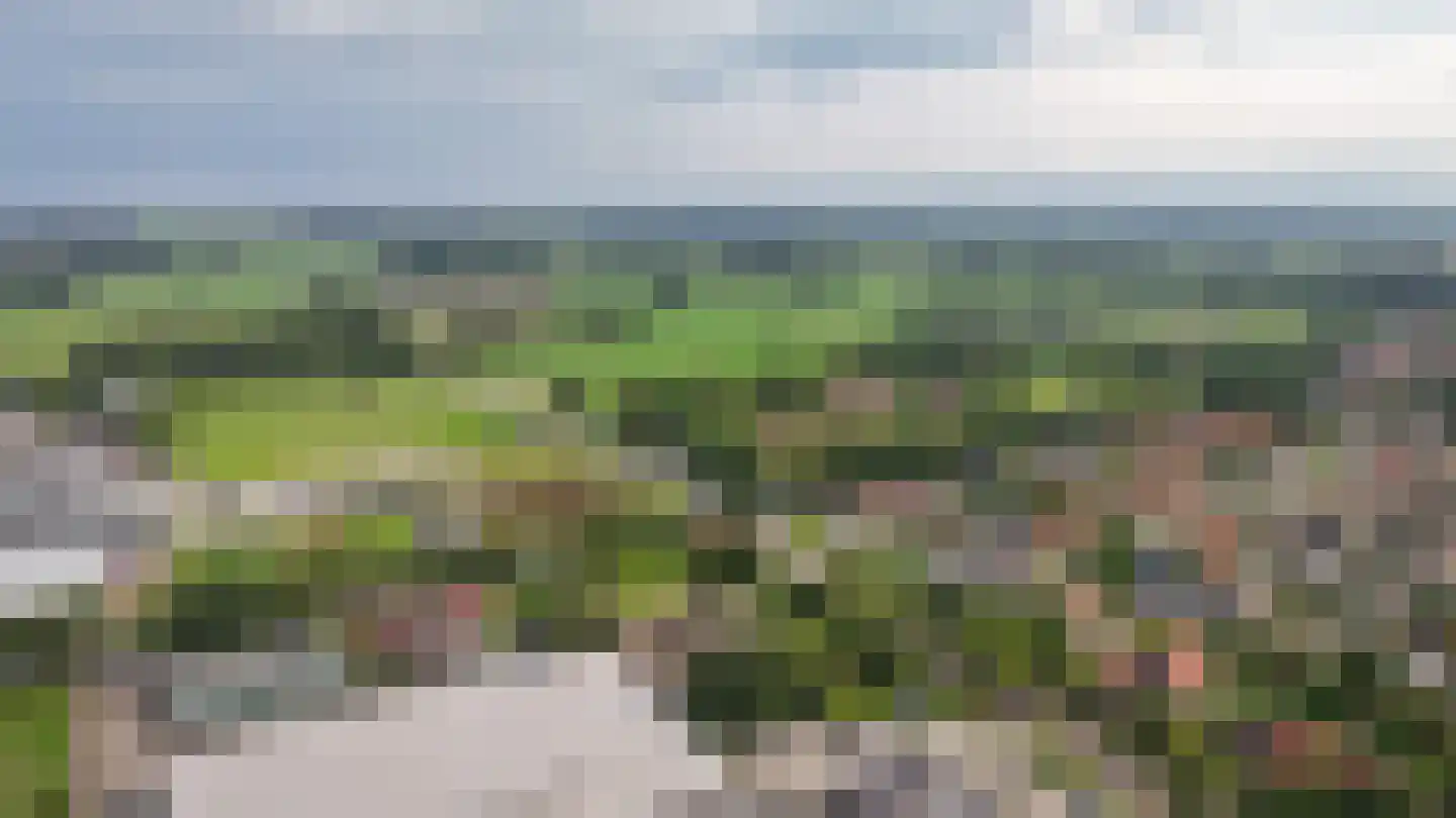 Eerste Stegge 1 Ootmarsum thumbnail 91