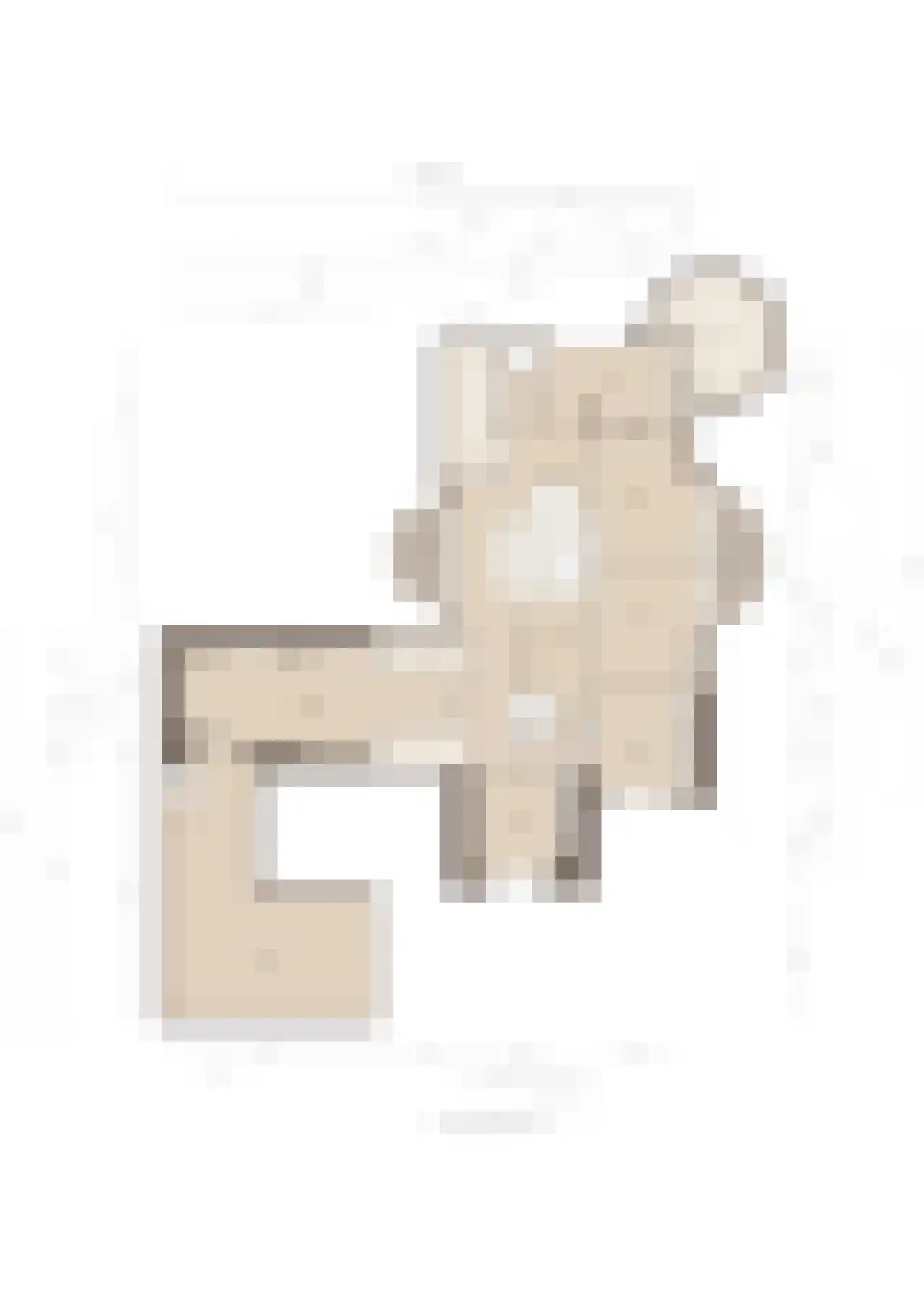 Eerste Stegge 1 Ootmarsum thumbnail 95