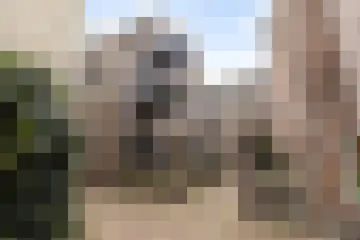Eerste Straatje van Best 17 's-Hertogenbosch thumbnail 13