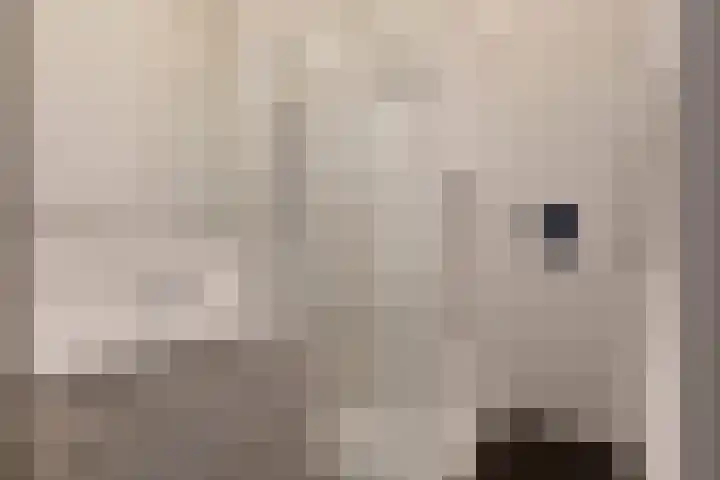 Eerste Straatje van Best 17 's-Hertogenbosch thumbnail 9