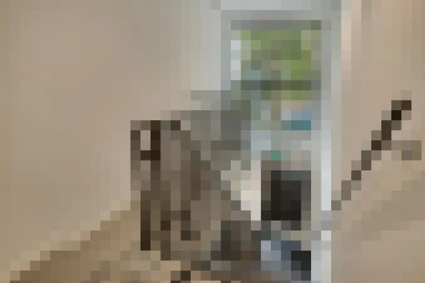 Eerste Straatje van Best 20 's-Hertogenbosch thumbnail 15