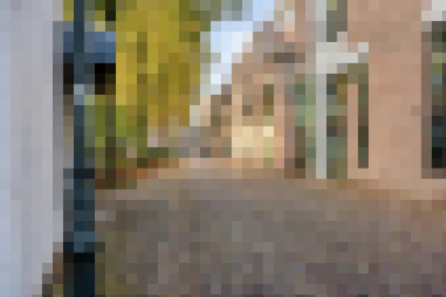Eerste Straatje van Best 28 's-Hertogenbosch thumbnail 22