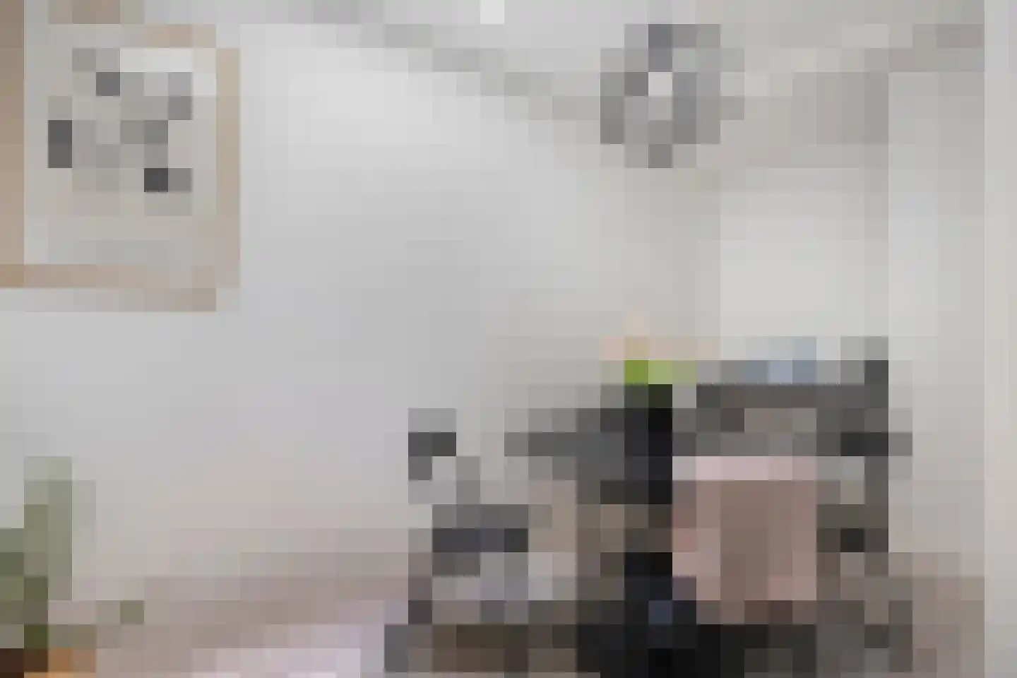 Eerste Straatje van Best 28 's-Hertogenbosch thumbnail 6