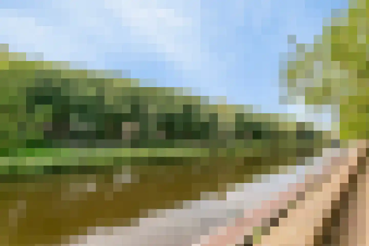 Eerste Straatje van Best 33 's-Hertogenbosch thumbnail 17