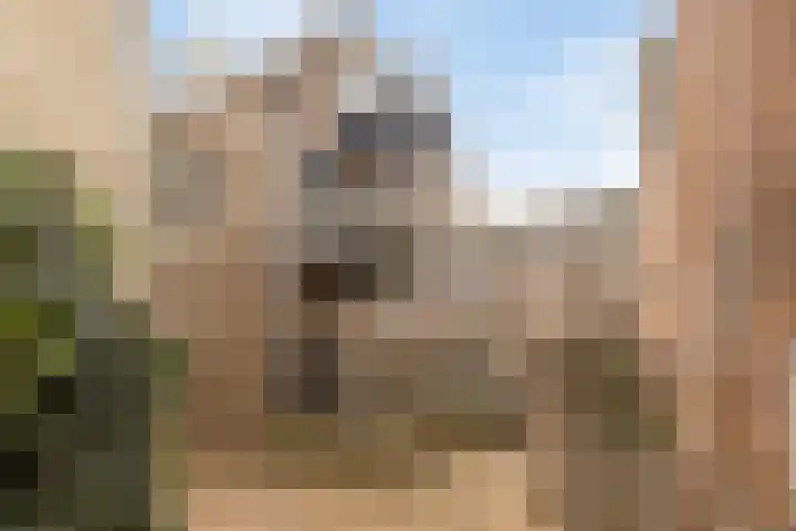 Eerste Straatje van Best 35 's-Hertogenbosch thumbnail 14