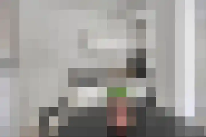 Eerste Straatje van Best 4 's-Hertogenbosch thumbnail 9