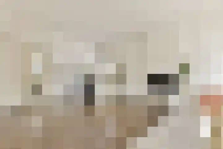 Eerste Sweelinckstraat 12 2 Amsterdam thumbnail 5