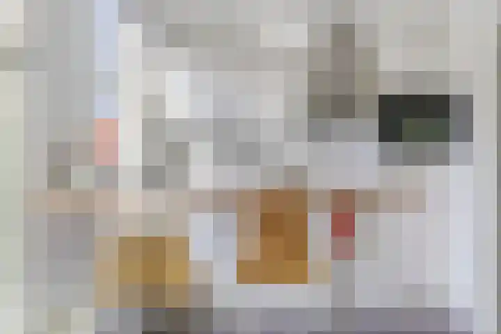 Eerste Sweelinckstraat 21 1V Amsterdam thumbnail 11