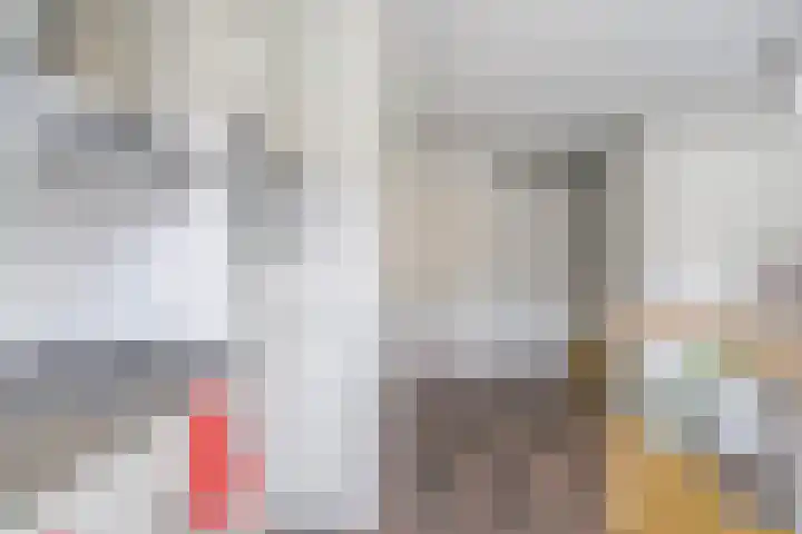 Eerste Sweelinckstraat 21 1V Amsterdam thumbnail 13