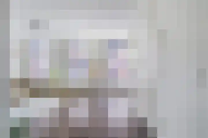 Eerste Sweelinckstraat 21 1V Amsterdam thumbnail 6