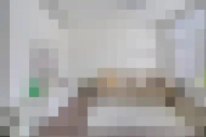 Eerste Sweelinckstraat 21 1V Amsterdam thumbnail 8