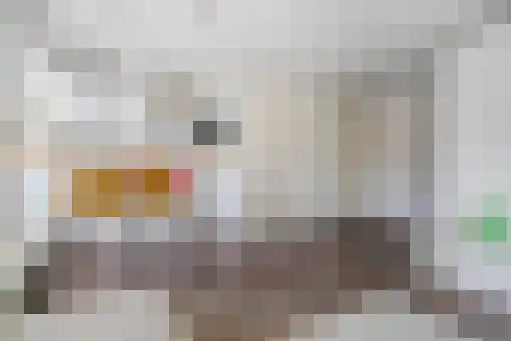 Eerste Sweelinckstraat 21 1V Amsterdam thumbnail 9