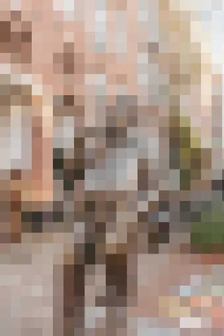 Eerste Sweelinckstraat 5 O Amsterdam thumbnail 37