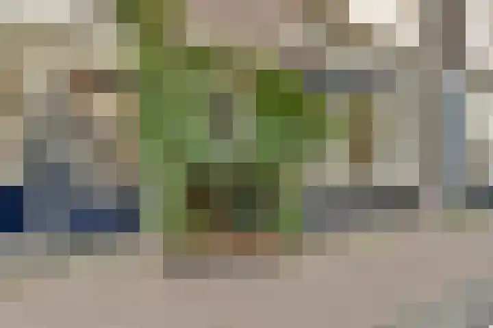 Eerste Tuindwarsstraat 11 Amsterdam thumbnail 21