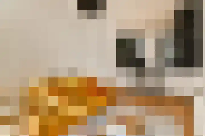 Eerste Tuindwarsstraat 11 Amsterdam thumbnail 6