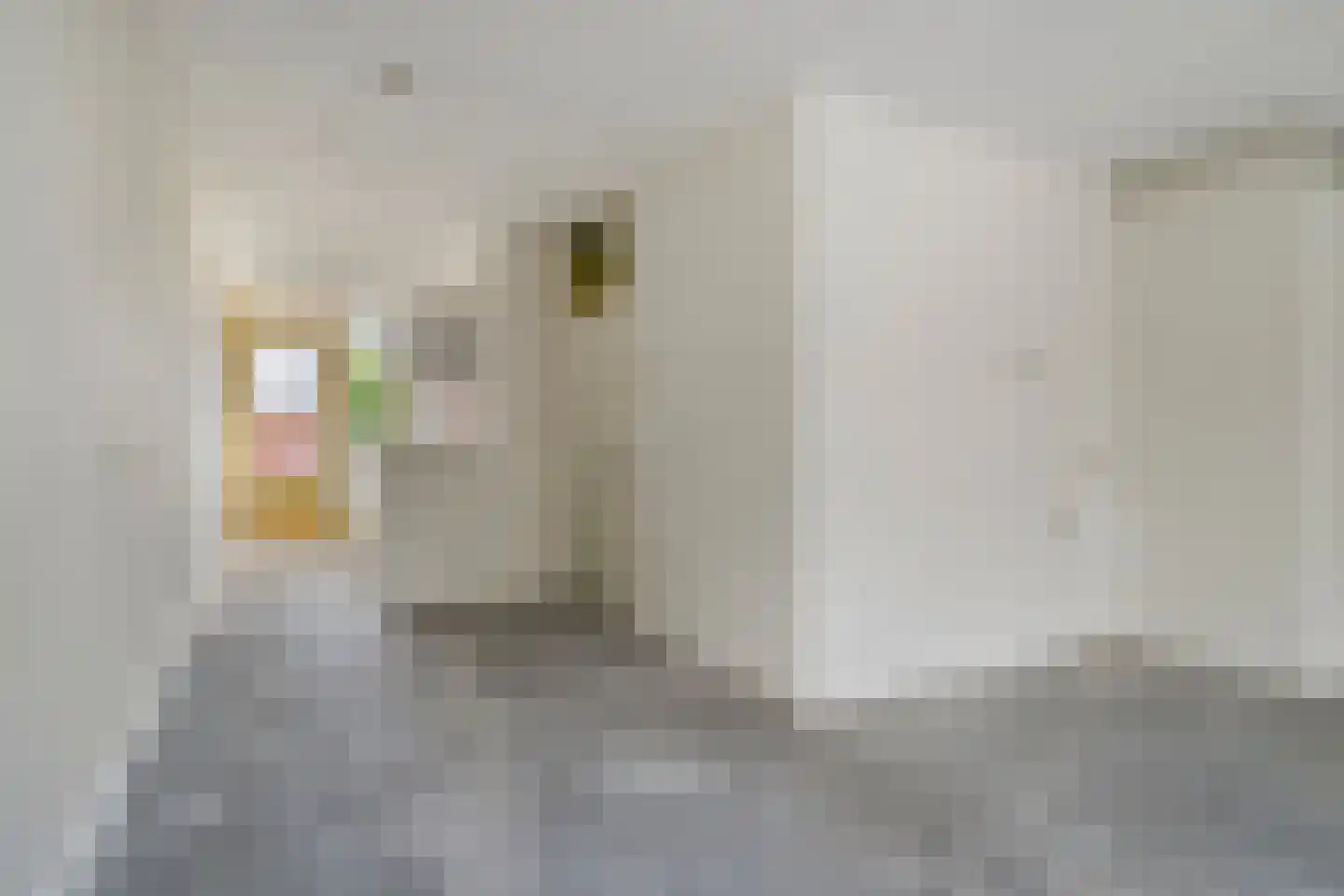 Eerste Tuindwarsstraat 7 B Amsterdam thumbnail 15