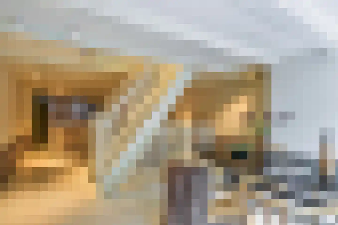 Eerste Tuindwarsstraat 8 H Amsterdam thumbnail 8
