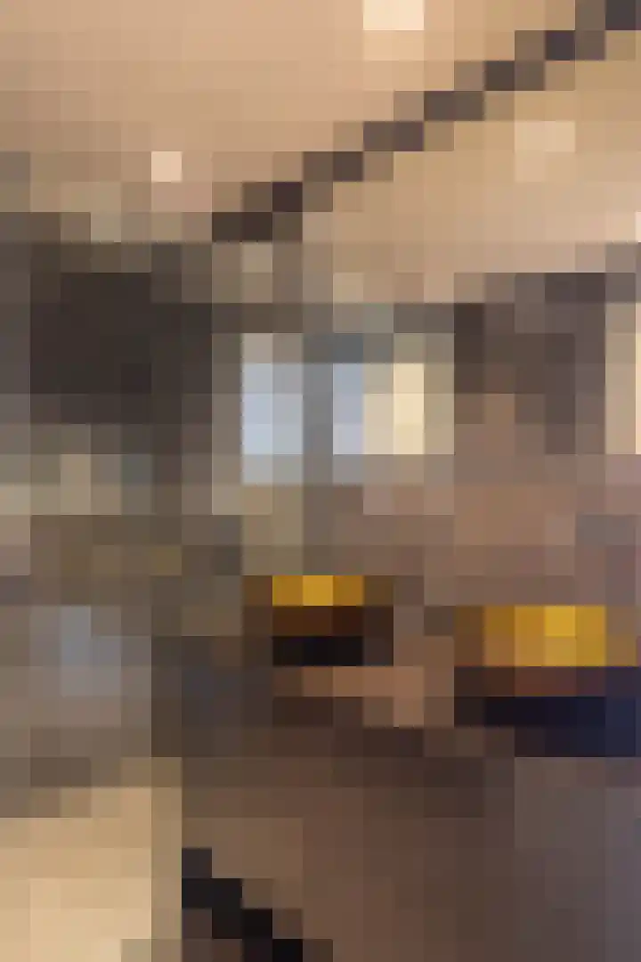 Eerste Van der Helststraat 1 A 21 Amsterdam thumbnail 21