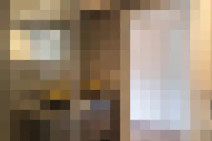 Eerste Van der Helststraat 1 A 21 Amsterdam thumbnail 23