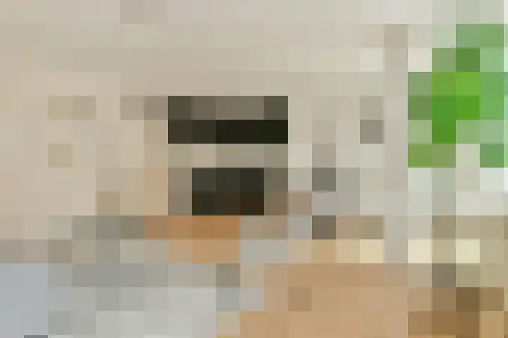 Eerste Van der Helststraat 1 A 21 Amsterdam thumbnail 4