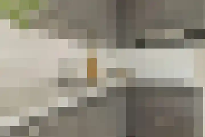 Eerste Van der Helststraat 1 A 21 Amsterdam thumbnail 8