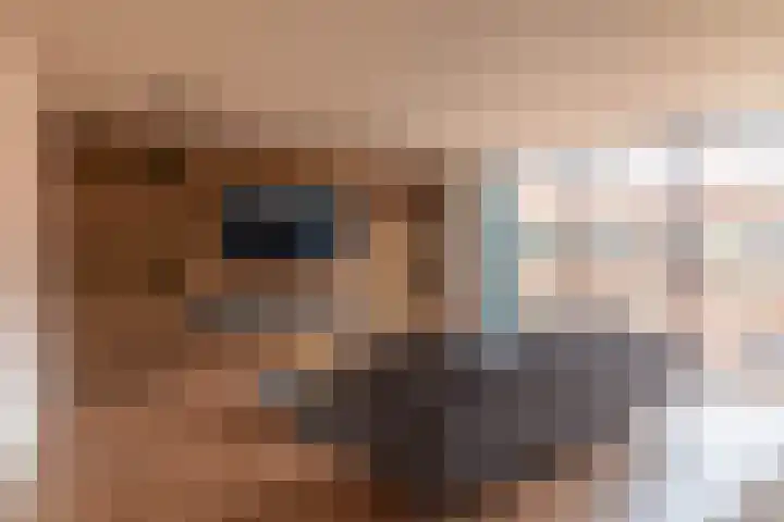 Eerste Van der Helststraat 1 A 21 Amsterdam thumbnail 9