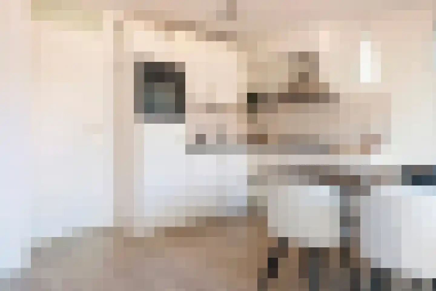 Eerste Van der Helststraat 1 A 28 Amsterdam thumbnail 22