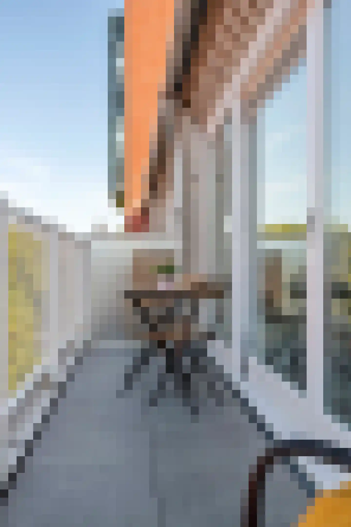 Eerste Van der Helststraat 1 A 28 Amsterdam thumbnail 36