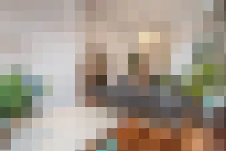 Eerste Van der Helststraat 1 G Amsterdam thumbnail 5