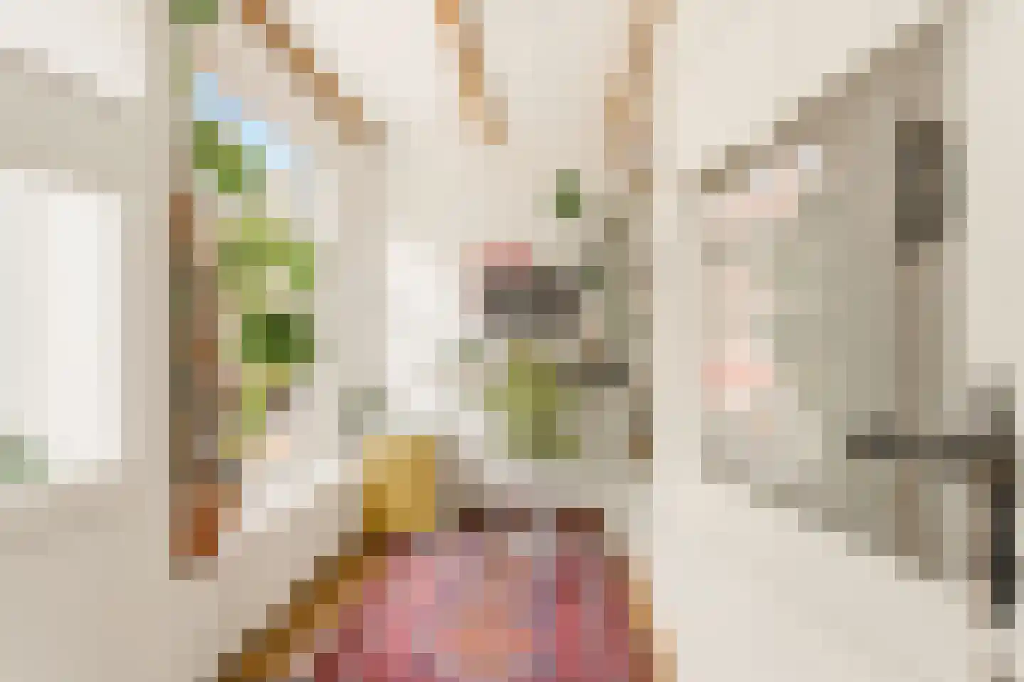 Eerste Van der Helststraat 55 1 Amsterdam thumbnail 14