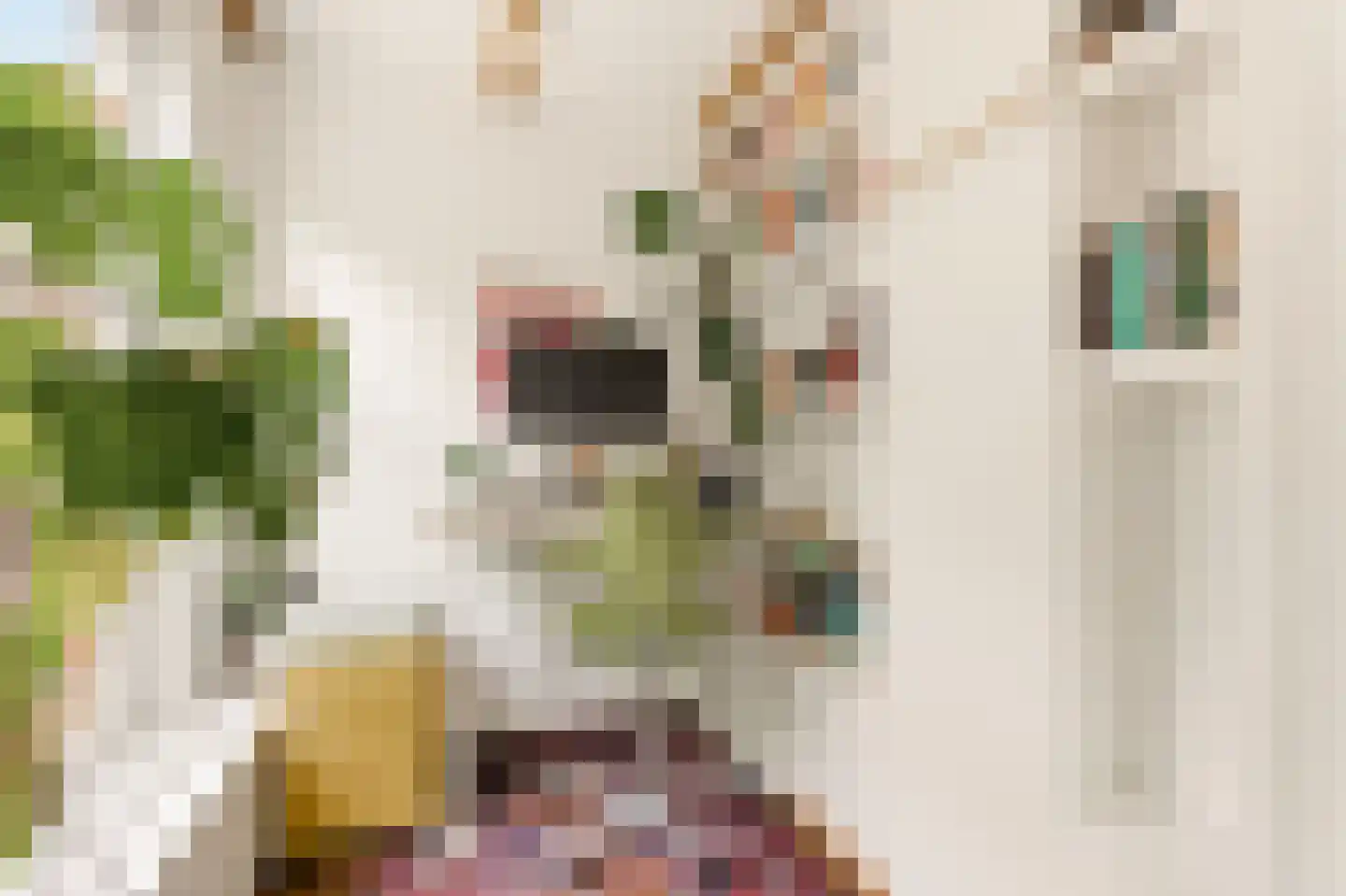 Eerste Van der Helststraat 55 1 Amsterdam thumbnail 15