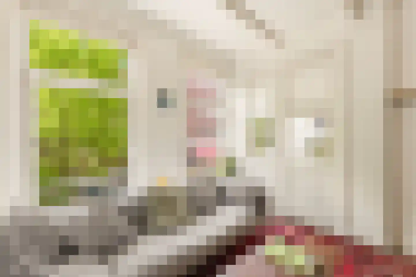 Eerste Van der Helststraat 55 1 Amsterdam thumbnail 7
