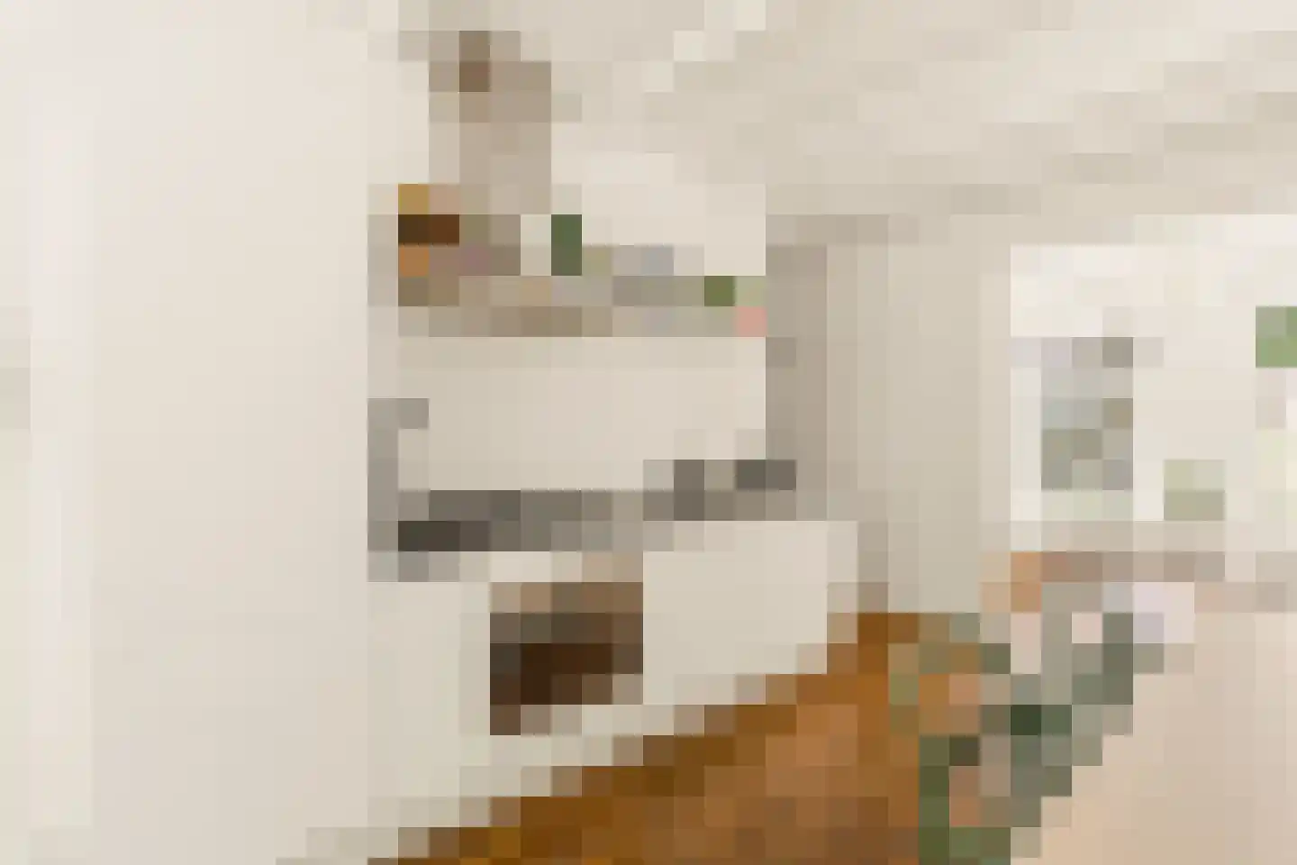 Eerste Van der Helststraat 55 1 Amsterdam thumbnail 9