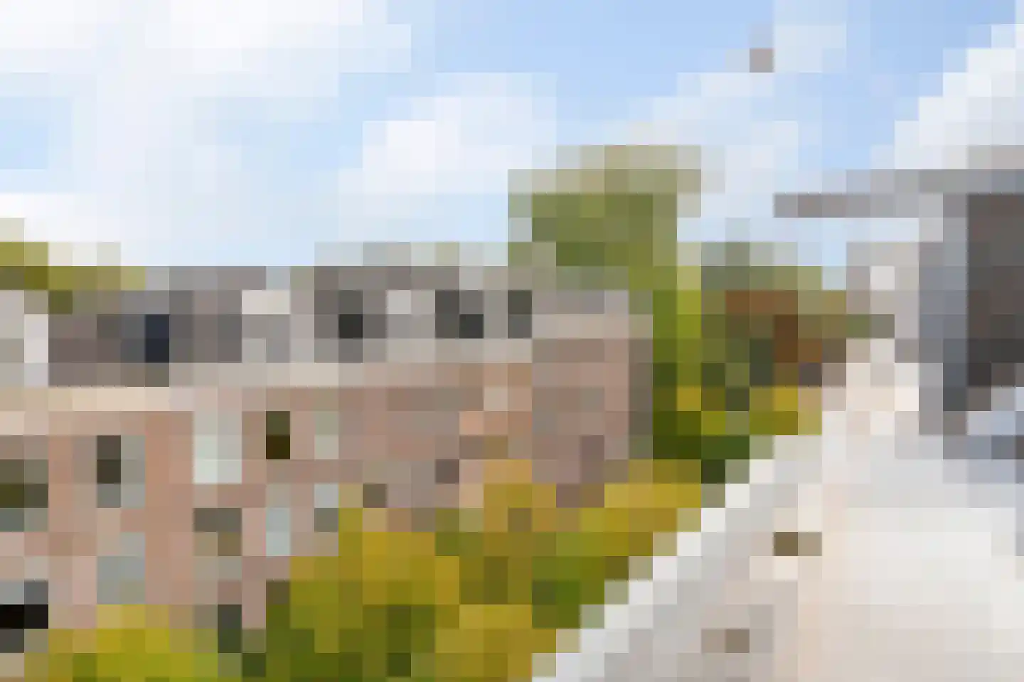 Eerste Van der Helststraat 72 4 Amsterdam thumbnail 17