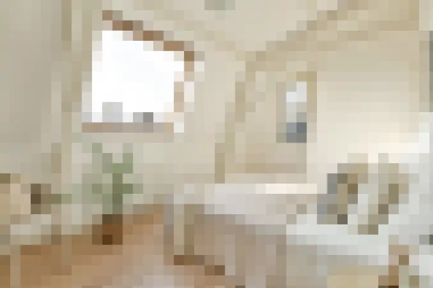 Eerste Van der Helststraat 82 4 Amsterdam thumbnail 23