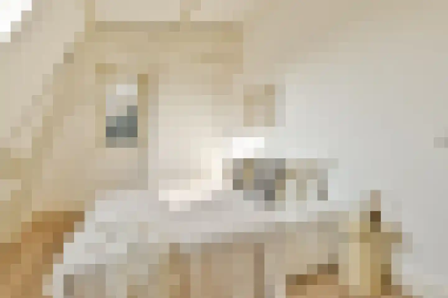Eerste Van der Helststraat 82 4 Amsterdam thumbnail 24