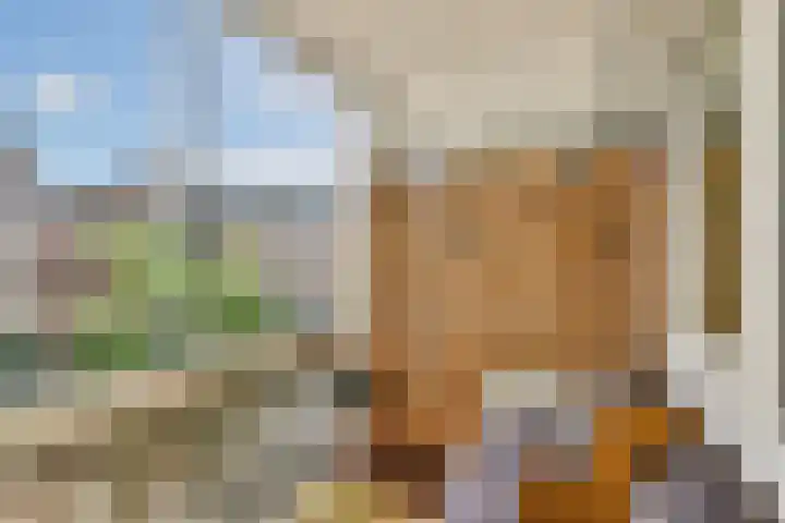 Eerste Van Swindenstraat 163 Amsterdam thumbnail 5