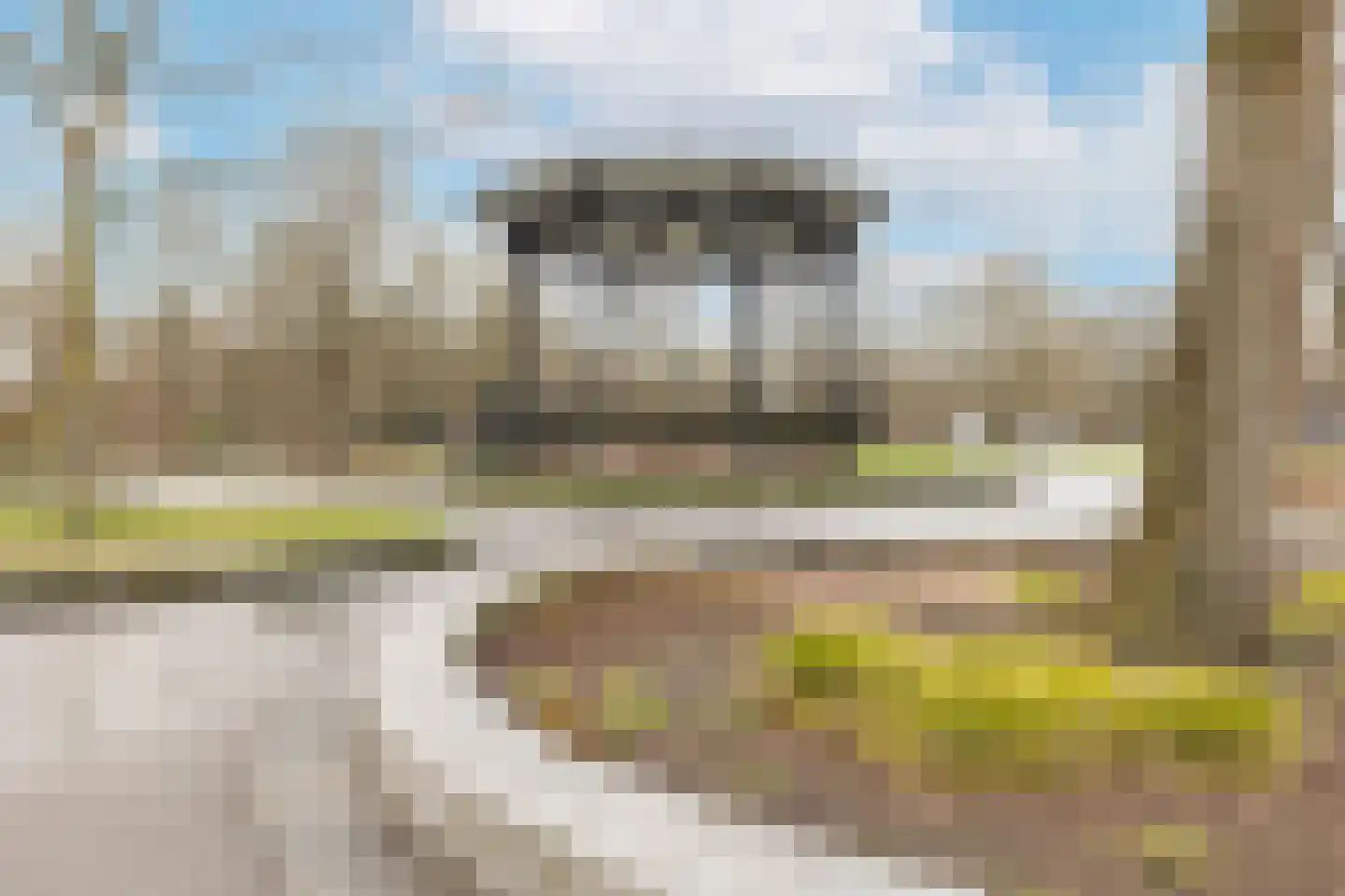 Eerste Van Swindenstraat 173 Amsterdam thumbnail 30