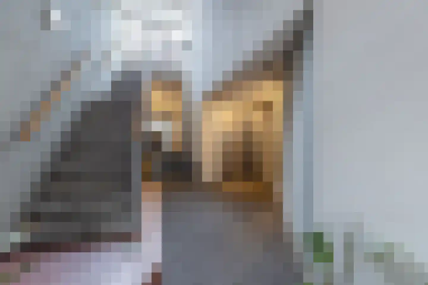Eerste Van Swindenstraat 173 Amsterdam thumbnail 5